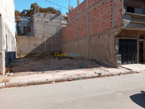 Vente Terrain Ain temouchent Ain temouchent