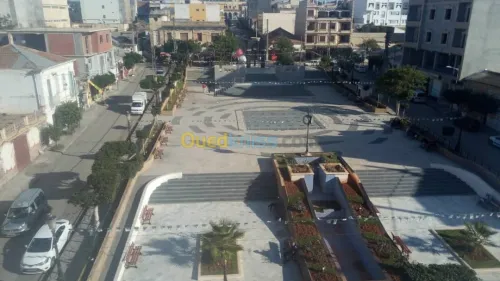 Vente Local Alger Zeralda