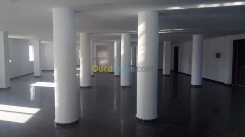 Vente Local Alger Zeralda