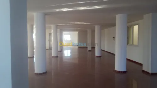 Vente Local Alger Zeralda