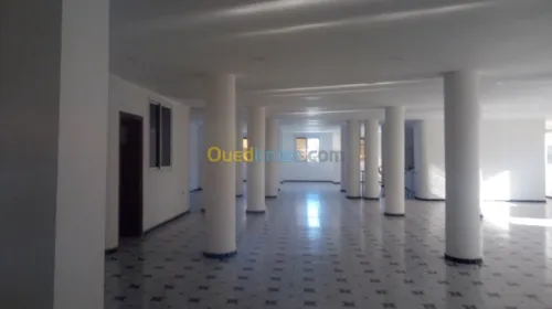 Vente Local Alger Zeralda