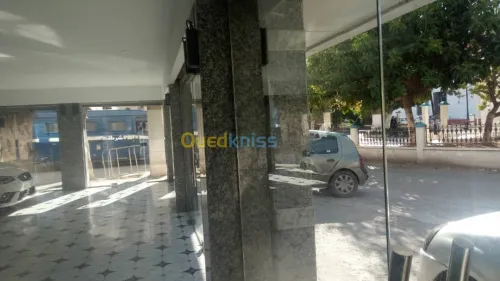 Vente Local Alger Zeralda