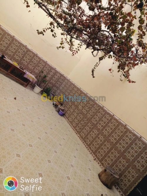 Vente Villa Oran Hassi bounif