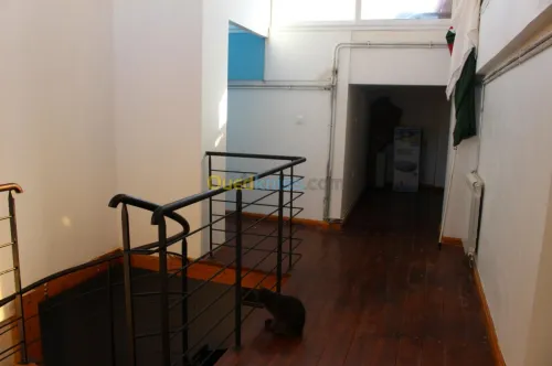 Vente Appartement F4 Alger Draria