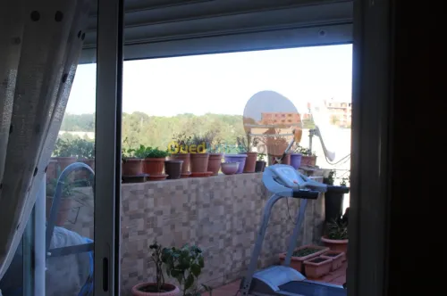 Vente Appartement F4 Alger Draria
