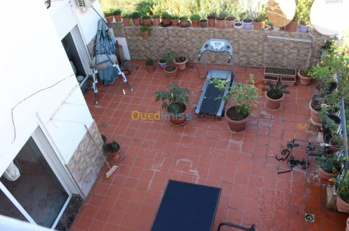 Vente Appartement F4 Alger Draria