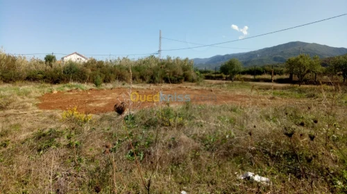 Vente Terrain Tizi ouzou Azeffoun