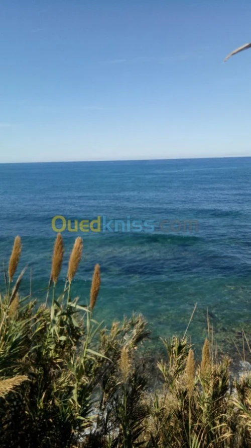 Vente Terrain Tizi ouzou Azeffoun