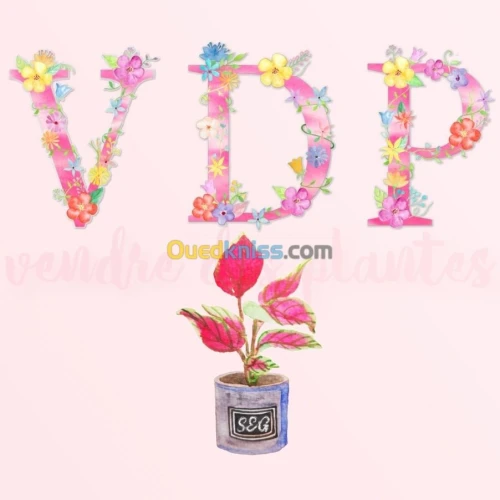 graphique design