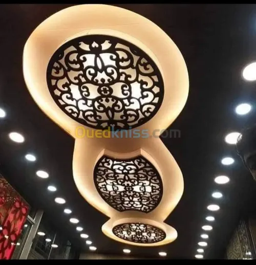 Placoplâtre
