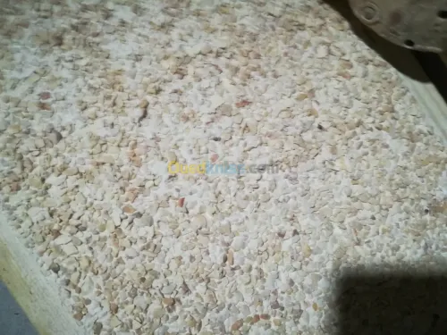 Griffée et monocouche 