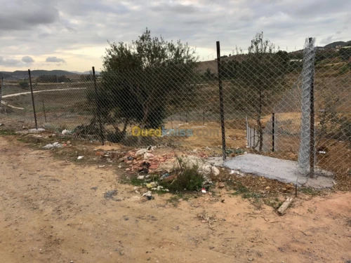 Vente Terrain Tipaza Sidi amar