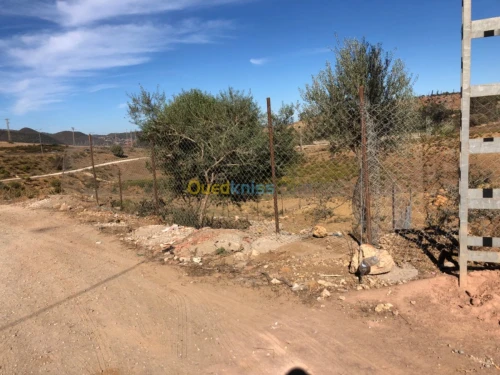 Vente Terrain Tipaza Sidi amar