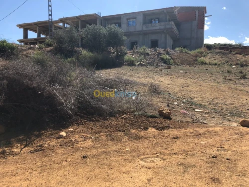 Vente Terrain Tipaza Sidi amar