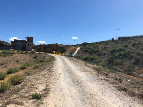 Vente Terrain Tipaza Sidi amar