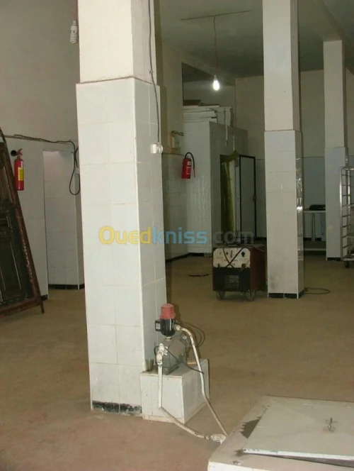 Vente Usine Tlemcen Ghazaouet
