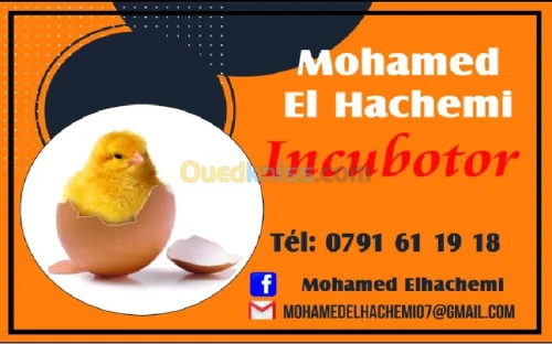 فقاسات و حاضنات بيض الطيور