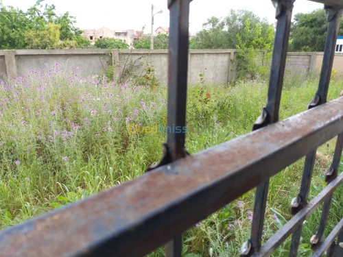 Vente Appartement F3 Boumerdes Zemmouri