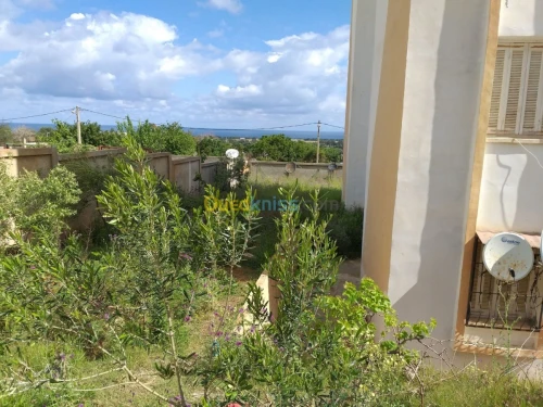 Vente Appartement F3 Boumerdes Zemmouri