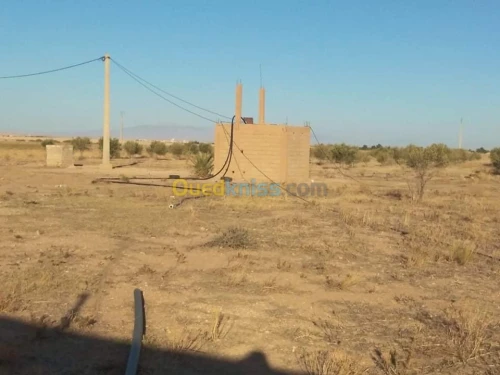 Vente Terrain Agricole Msila Zerarka