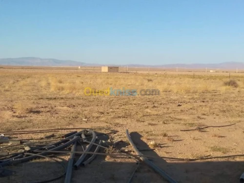 Vente Terrain Agricole Msila Zerarka