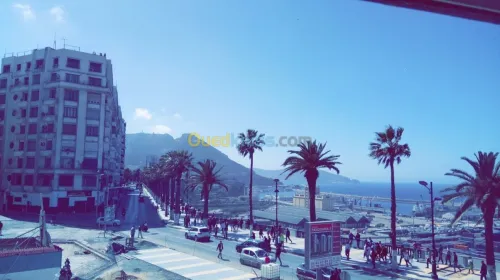 Location Appartement F3 Oran Oran