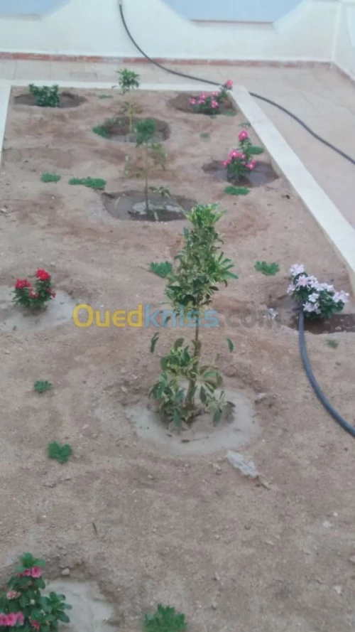 Aménagement des espaces verts 