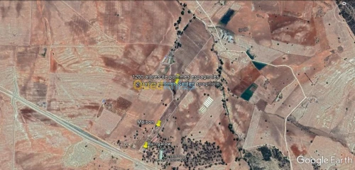 Vente Terrain Agricole Saida Youb