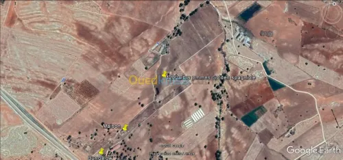 Vente Terrain Agricole Saida Youb