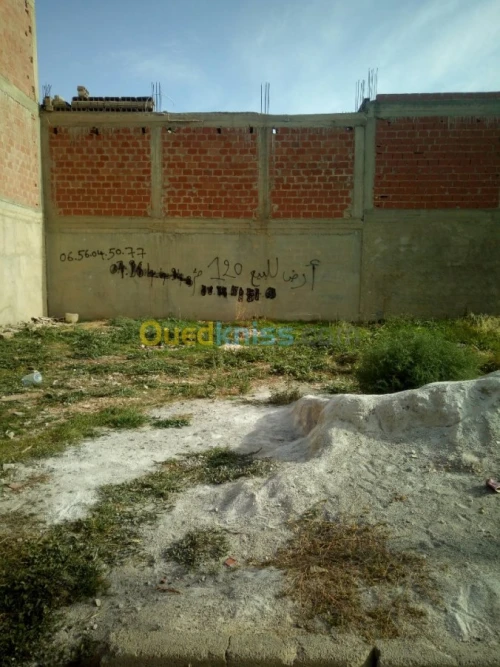 Vente Terrain Khenchela Khenchela