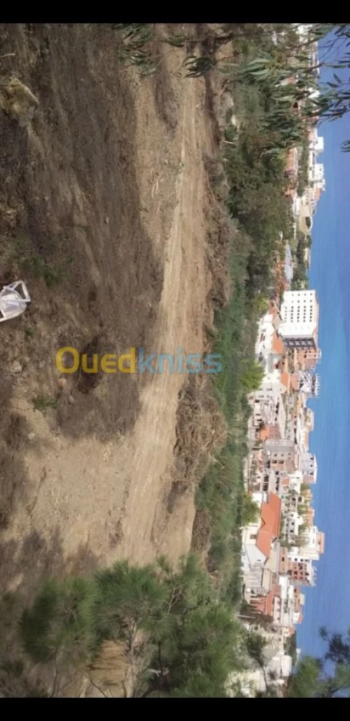 Vente Terrain Bejaia Beni ksila