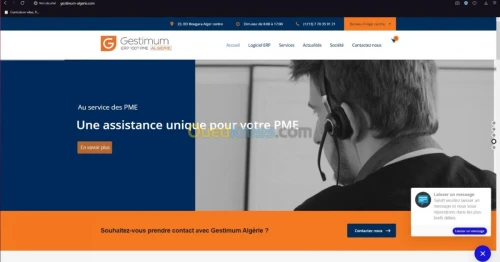 Réalisation des sites web/application