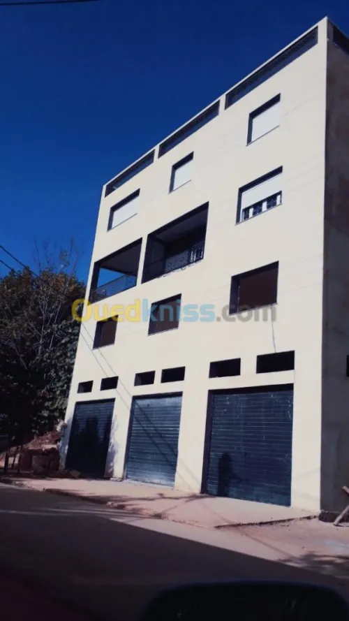 Monocouche façade 3D