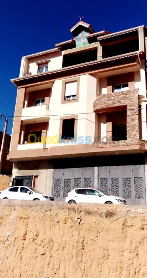 Monocouche façade 3D