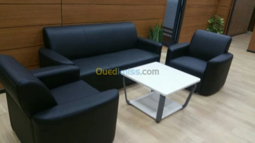 SALONS EN CUIR ET EN SIMILI CUIR 