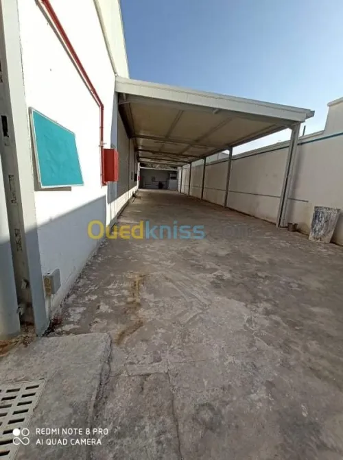 Vente Hangar Oran Es senia