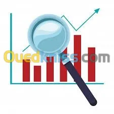 CONSULTANT EN MARKETING ET MANAGEMENT 