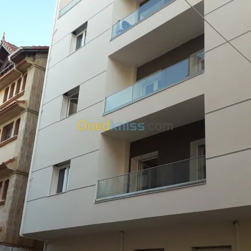 Rampe d'escalier on inox