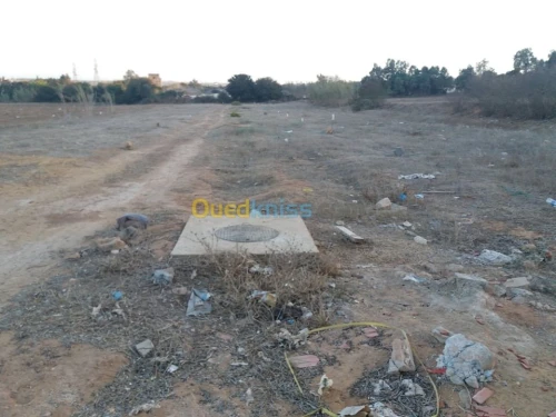 Vente Terrain Mostaganem Mostaganem