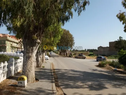 Vente Terrain Mostaganem Mostaganem