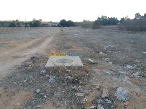Vente Terrain Mostaganem Mostaganem