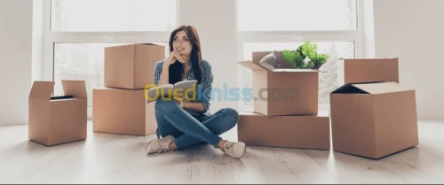 Demenagement transport des pro