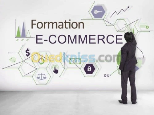 Formation Dropshipping mini prix 2021 