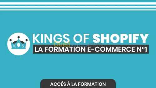 Formation Dropshipping mini prix 2021 