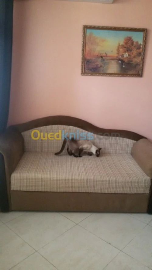 Tres joli petit fauteuil