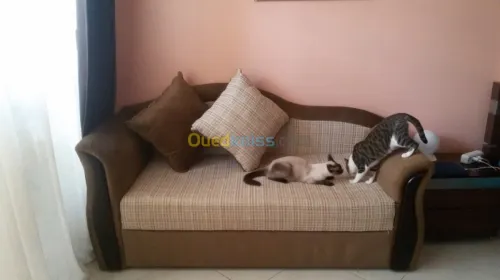 Tres joli petit fauteuil