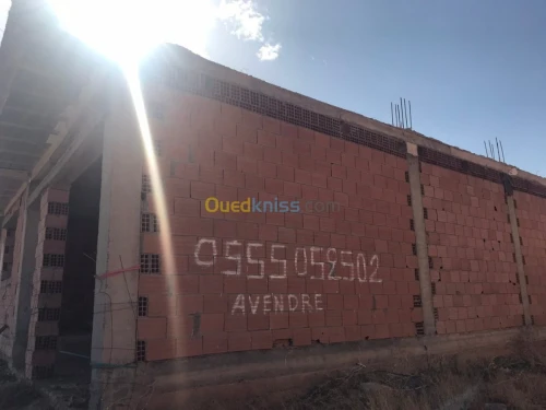Vente Carcasse Tlemcen Tlemcen