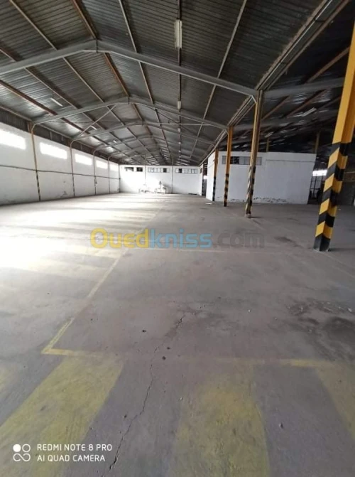 Location Hangar Oran Oran