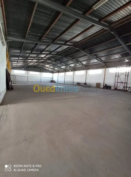 Location Hangar Oran Oran