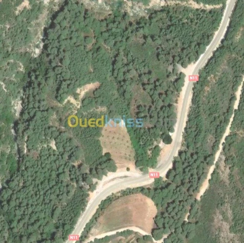 Vente Terrain Chlef Tenes